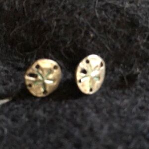 Elegant silver sand dollar Stud Earrings